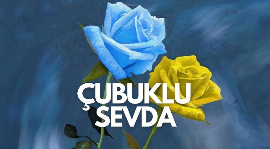 Çubuklu Sevda