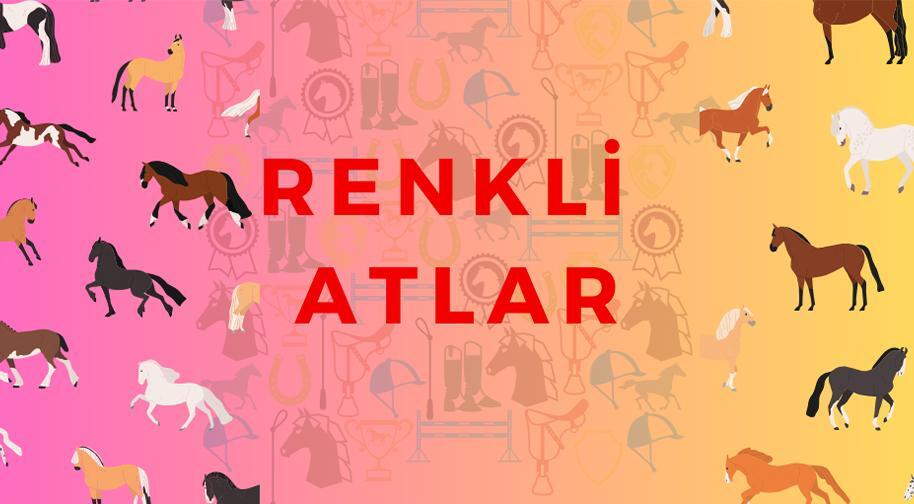 Renkli Atlar 5 - 7 Yaş